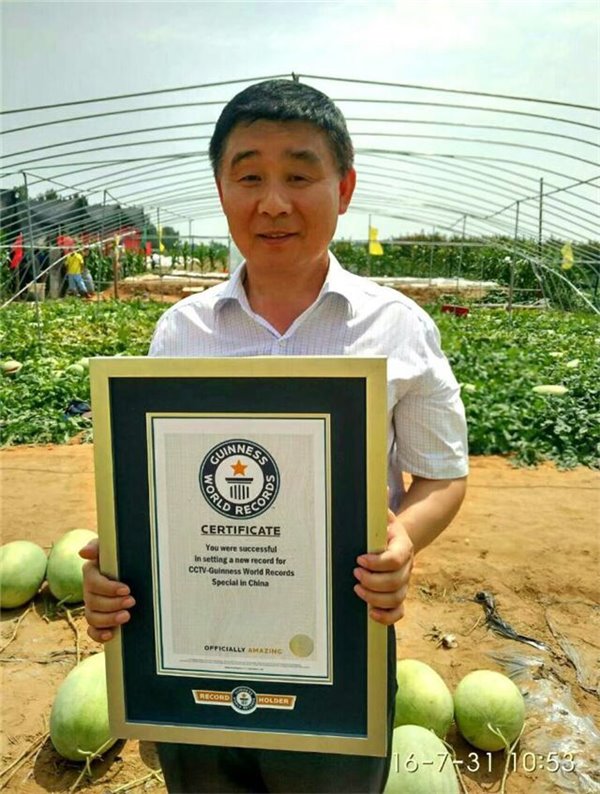 一颗瓜苗结出131个西瓜，河南瓜农获吉尼斯世界纪录