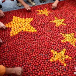 黄河三峡山里人山楂柿子绘国旗迎国庆